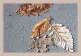 Ice Leaves(3K)